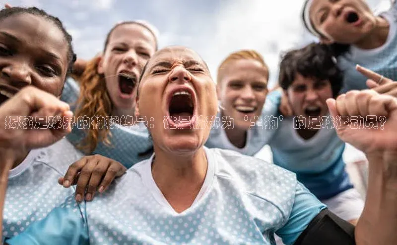 星欧平台个人登录入口百度网盘揭秘足球界的神秘绰号：谁是被称为‘土狗’的足球运动员？