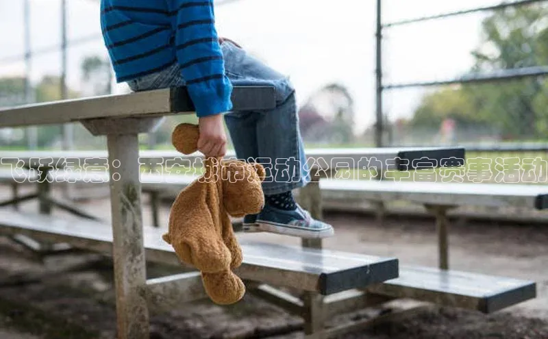 星欧官方网站登录入口度小满支付飞跃绿意：西安城市运动公园的丰富赛事活动