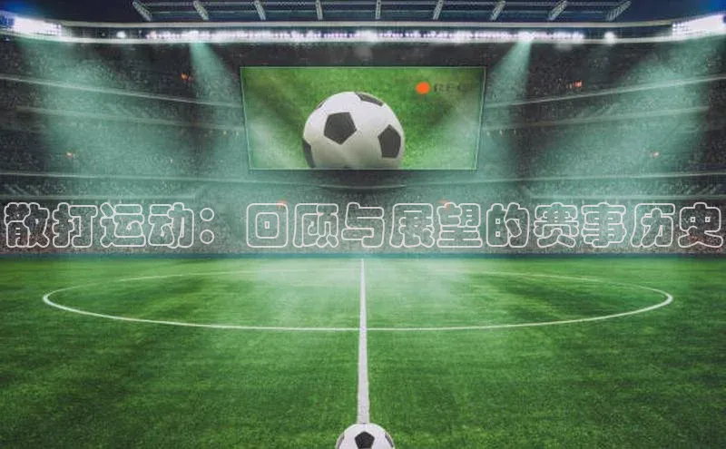 星欧app下载注册普信公司散打运动：回顾与展望的赛事历史