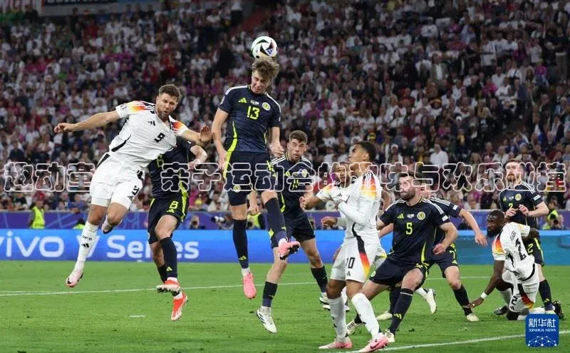 趣动童心：亲子运动会的趣味与欢乐碰撞