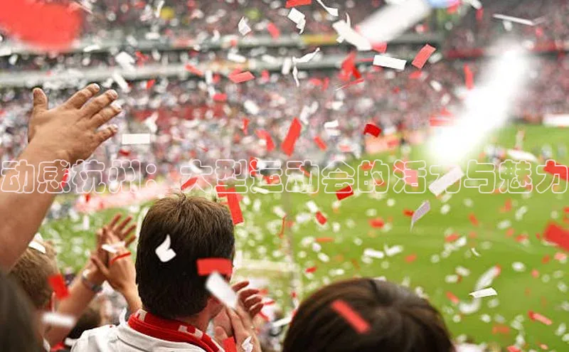 动感杭州：大型运动会的活力与魅力
