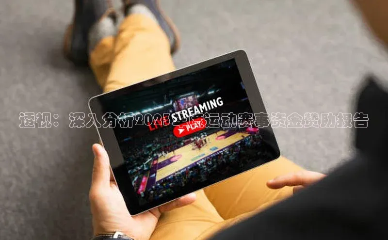 透视：深入分析2023年度运动赛事资金赞助报告