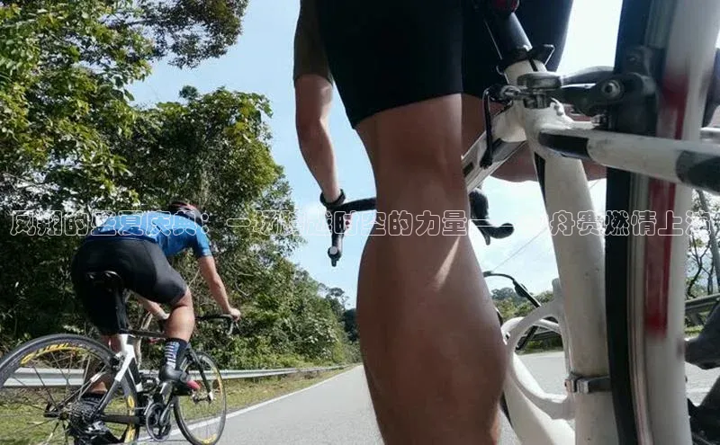 凤翔的盛夏庆典：一场跨越时空的力量——龙舟赛燃情上演