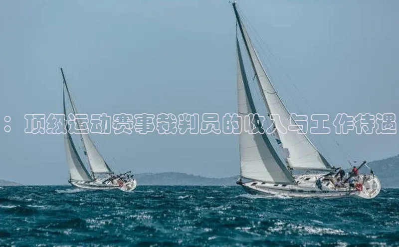 ：顶级运动赛事裁判员的收入与工作待遇