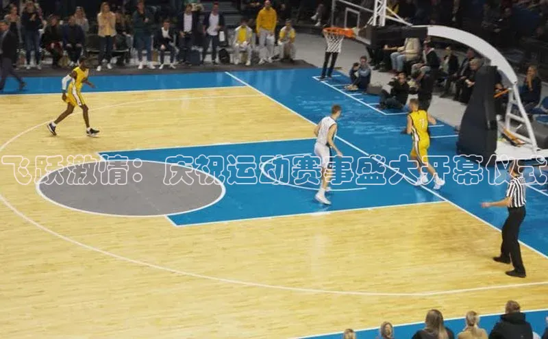 飞跃激情：庆祝运动赛事盛大开幕仪式