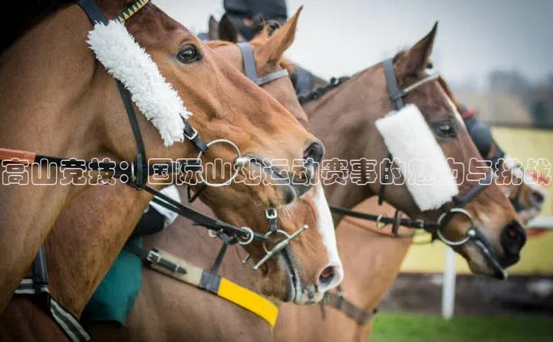 高山竞技：国际山地运动赛事的魅力与挑战