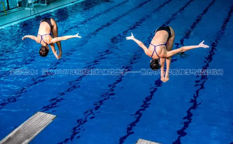 星欧娱乐官网登录