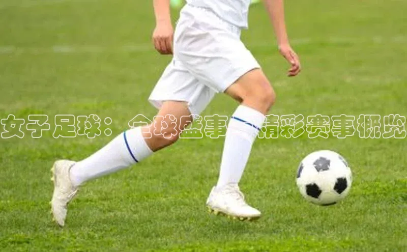 星欧app官方下载