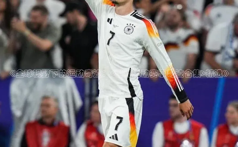 星欧网页登录入口